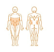 EN-Dynamic Abdominal Trainer 腹部伸展訓練儀