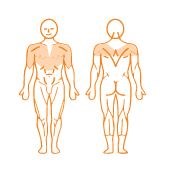 EN-Dynamic Shoulder Press 肩膀推舉訓練機