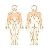 EN-Dynamic Triceps Dips 肱三頭肌訓練機