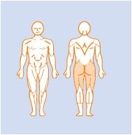 EN-Dynamic Seated Leg Curl 坐式腿部彎曲訓練機