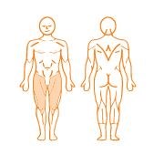 EN-Dynamic Seated Leg Press 坐式腿部推蹬訓練機
