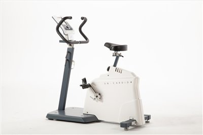 Bike Reha 直立式復健腳踏車